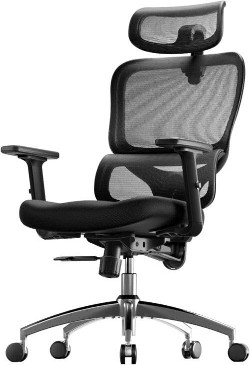 <strong><strong><a href="https://amzn.to/3WBlBRX" data-type="link" data-id="https://amzn.to/3WBlBRX">SIHOO M56C Chair</a></strong></strong>